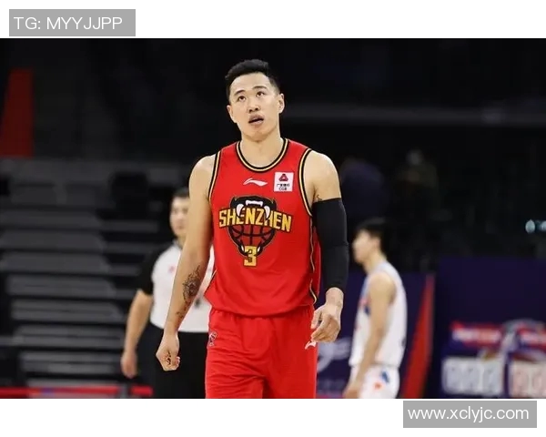 嵩山篮球明星的崛起与挑战：从校园到职业赛场的奋斗历程